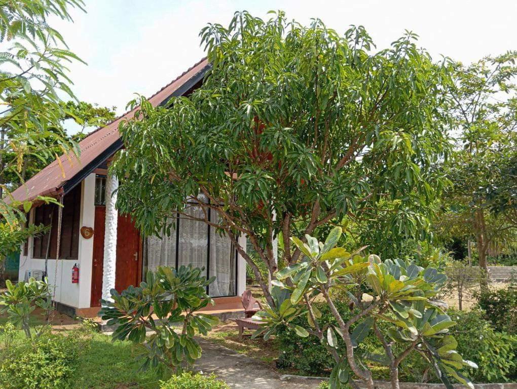 Passi Nature Villas Passikudah Kalkudah  Exteriér fotografie